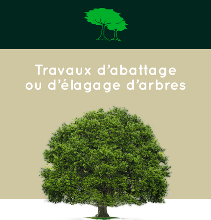 Élagage, Abattage La Rochelle 