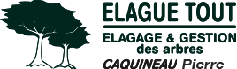 Élagage, Abattage à Surgères, Aytré